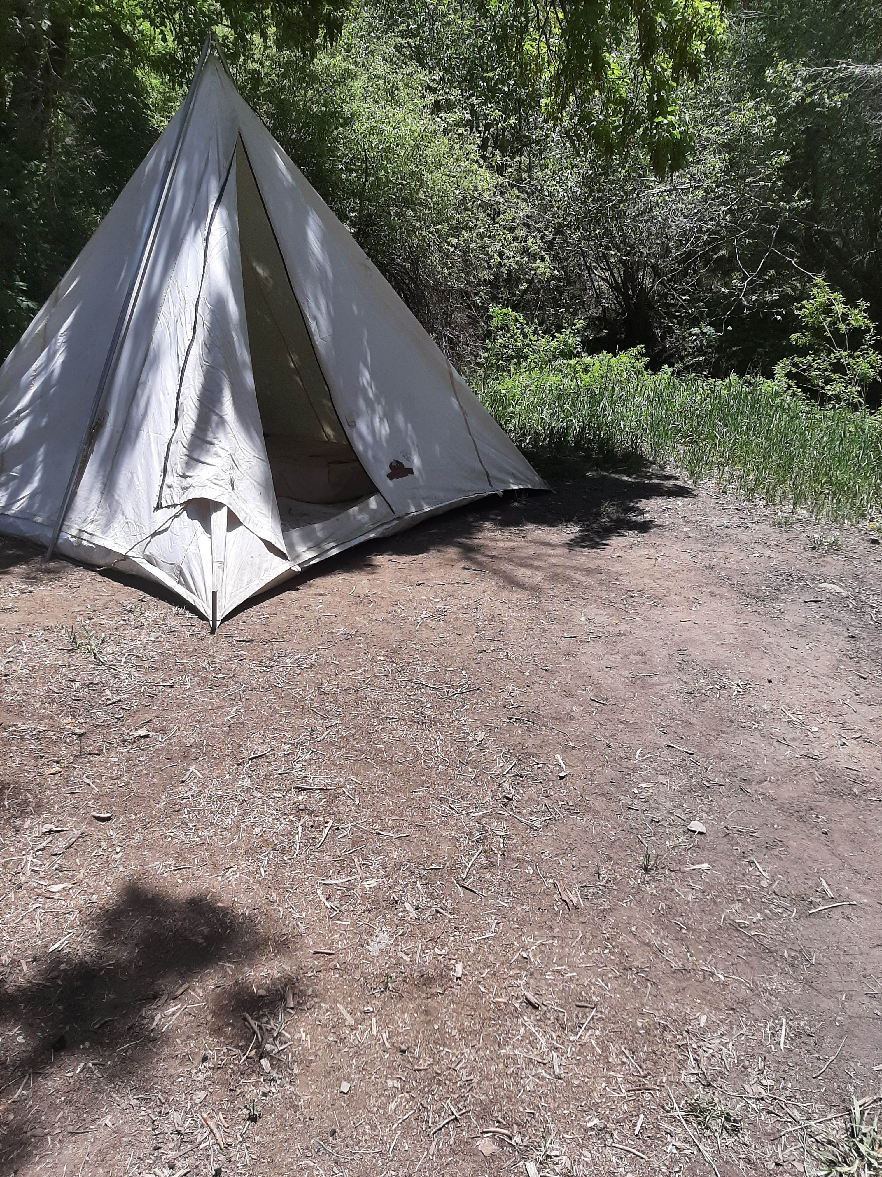 Walter T.'s photo of tent camping at fs road 438 near Red River, NM