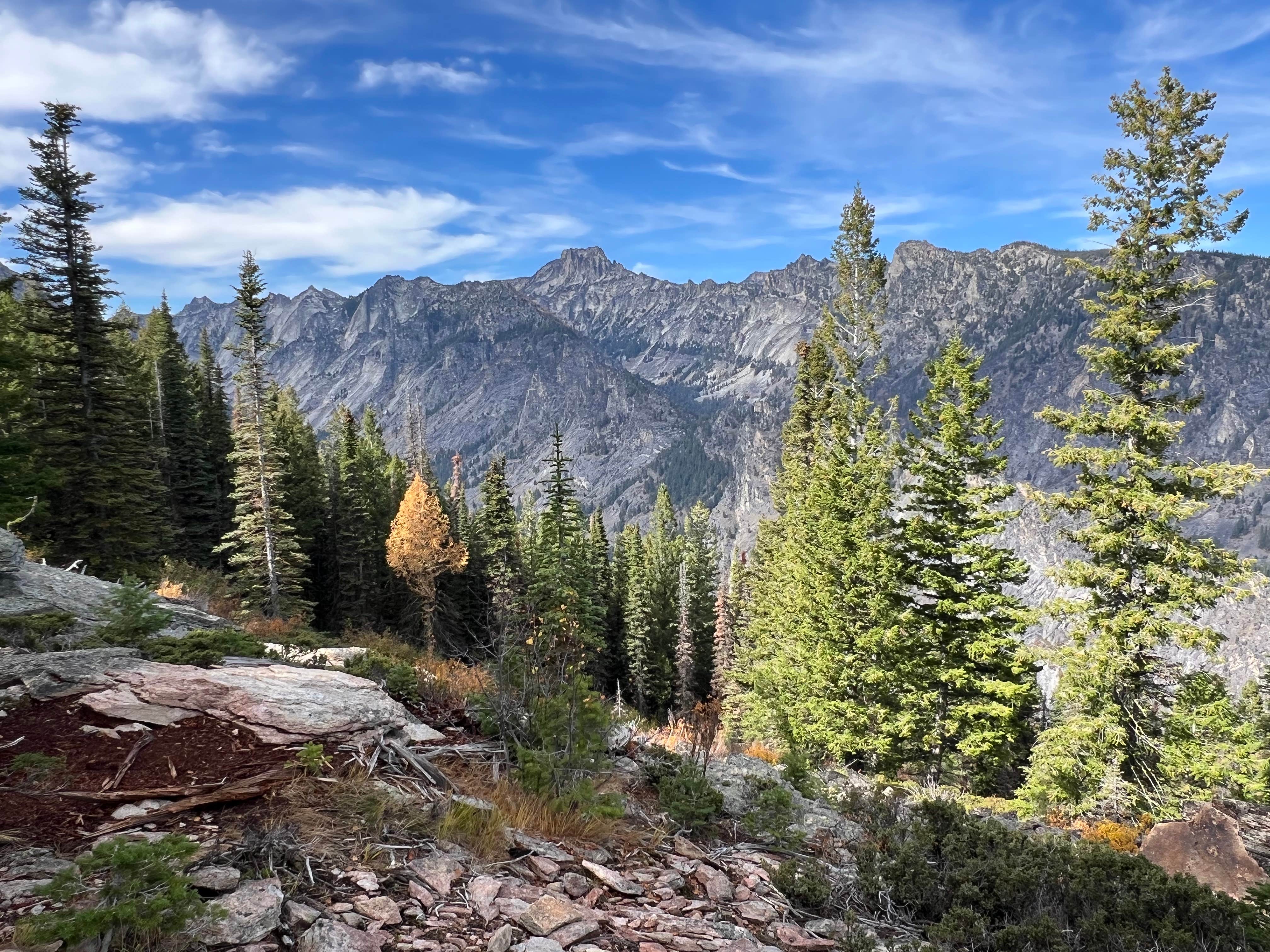 Camper submitted image from FS Road 5634 dispersed - 1