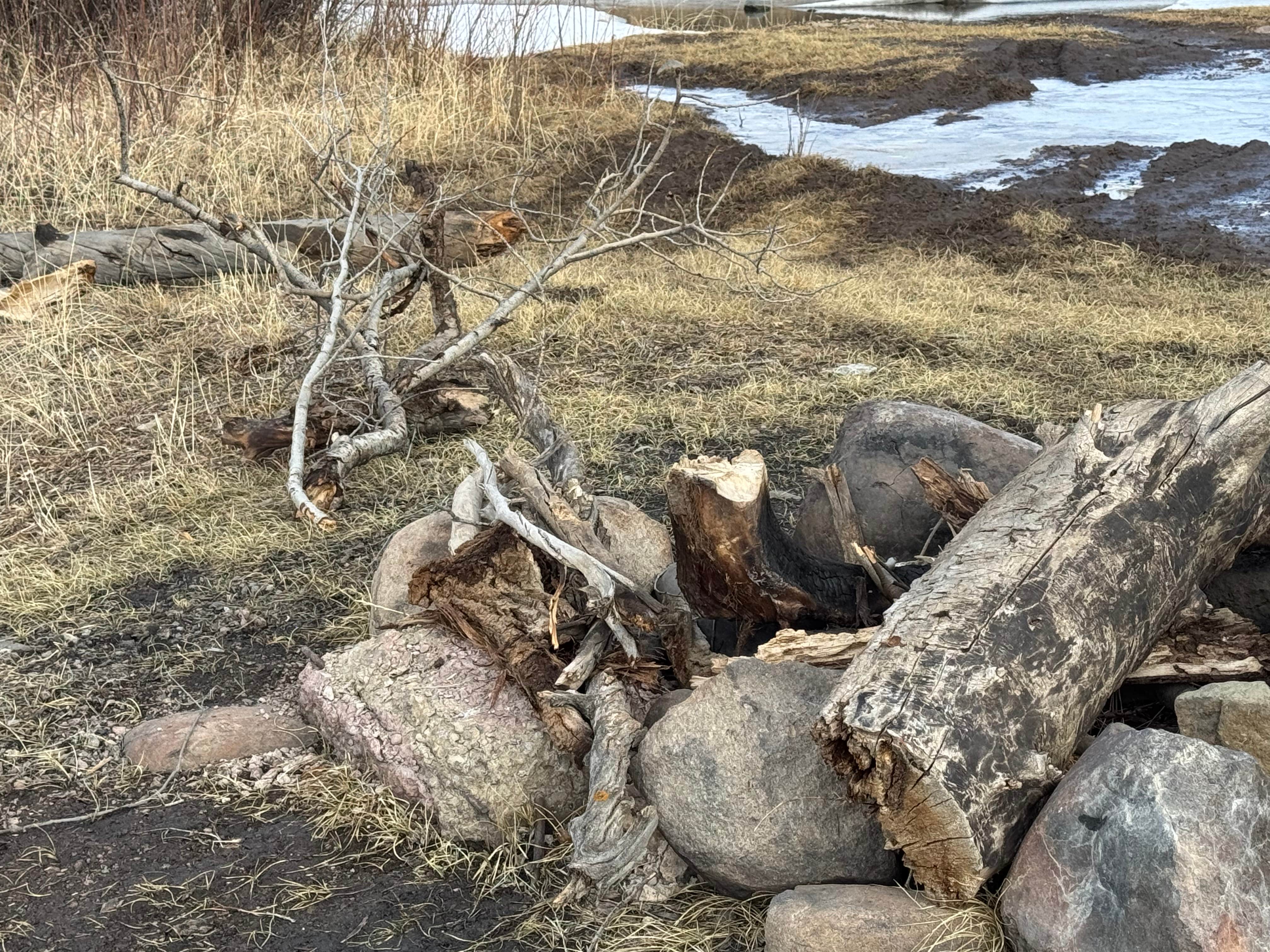 Camper-submitted photo at FS Road 631/633 near Pagosa Springs, CO