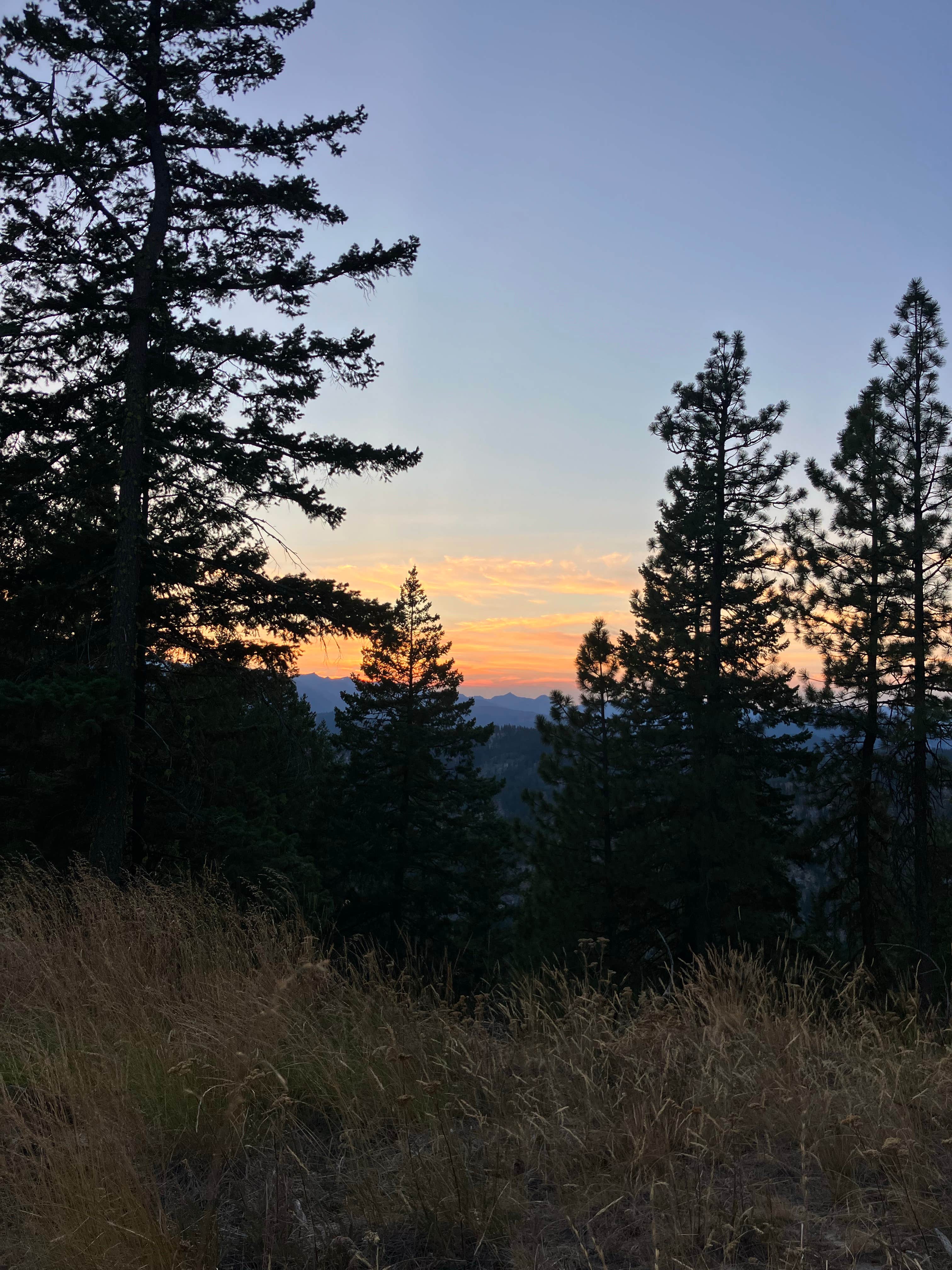 Camper-submitted photo at FS Road 7601 Dispersed near Cle Elum, WA