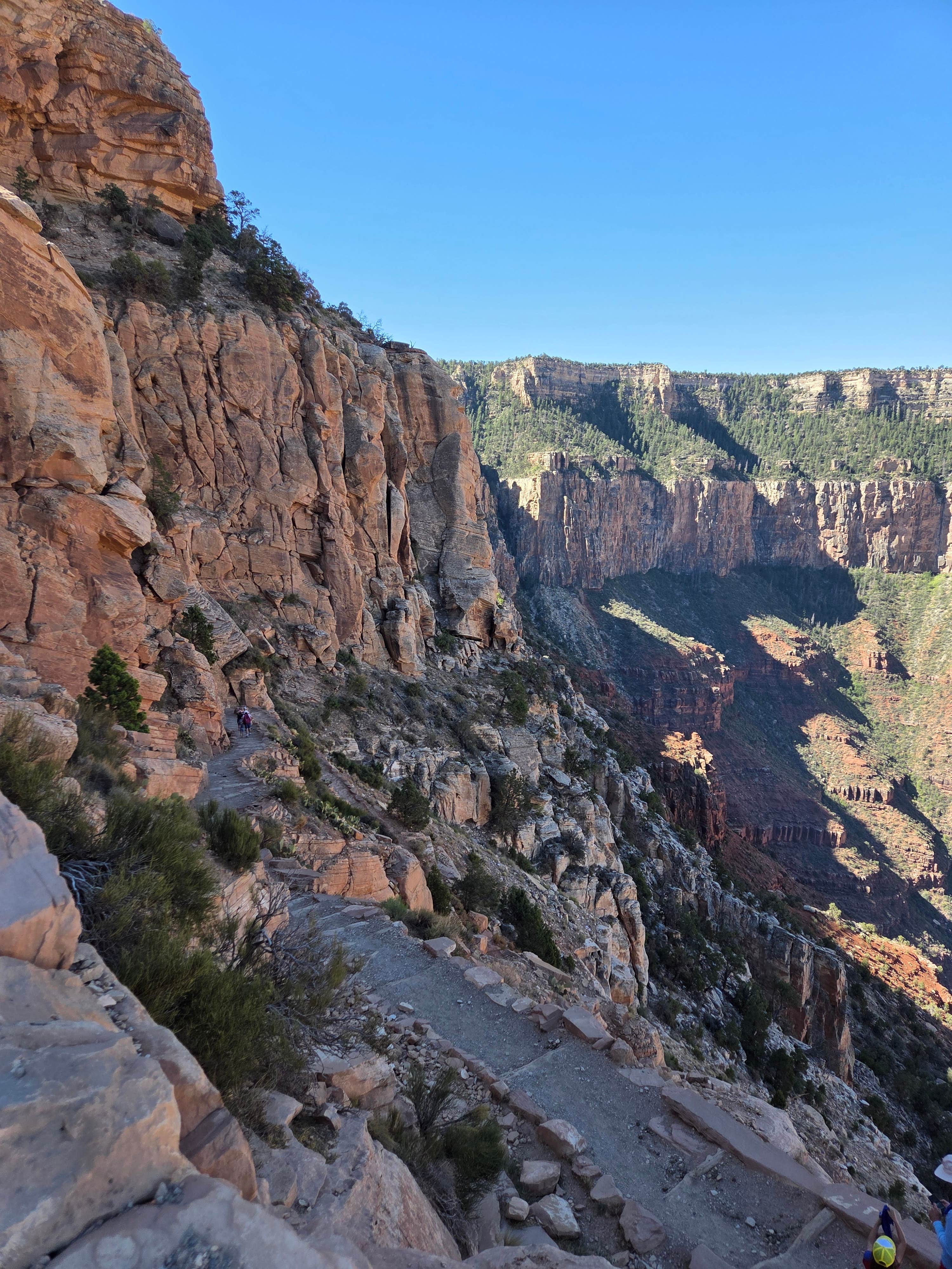 Camper-submitted photo at FS328 Dispersed Campsites near Grand Canyon, AZ