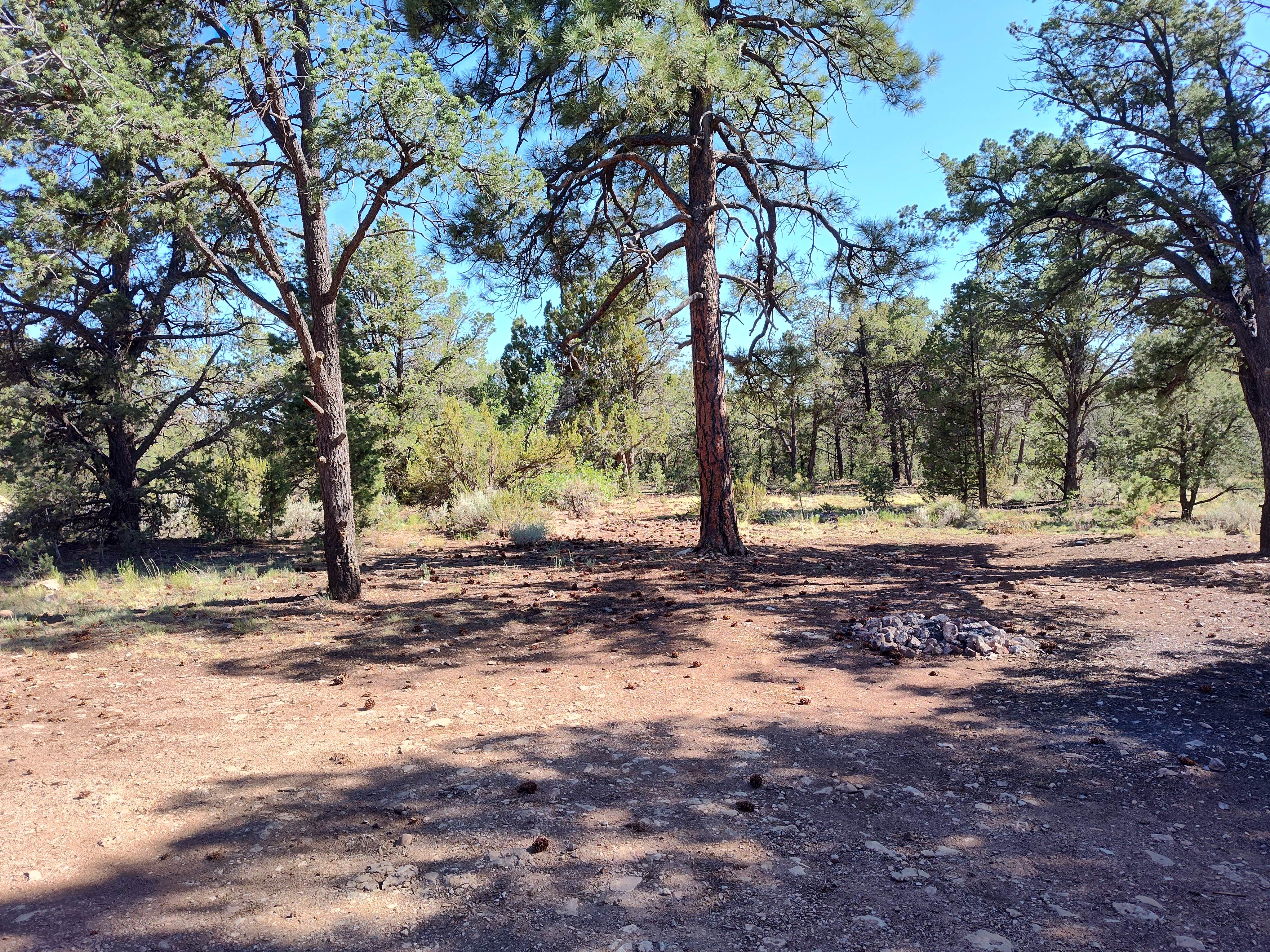 Camper-submitted photo at FS328 Dispersed Campsites near Grand Canyon National Park