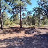 Review photo of FS328 Dispersed Campsites by Dennis C., July 4, 2025