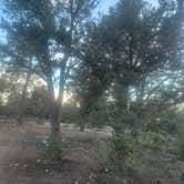 Review photo of FS328 Dispersed Campsites by Brody Q., March 5, 2026