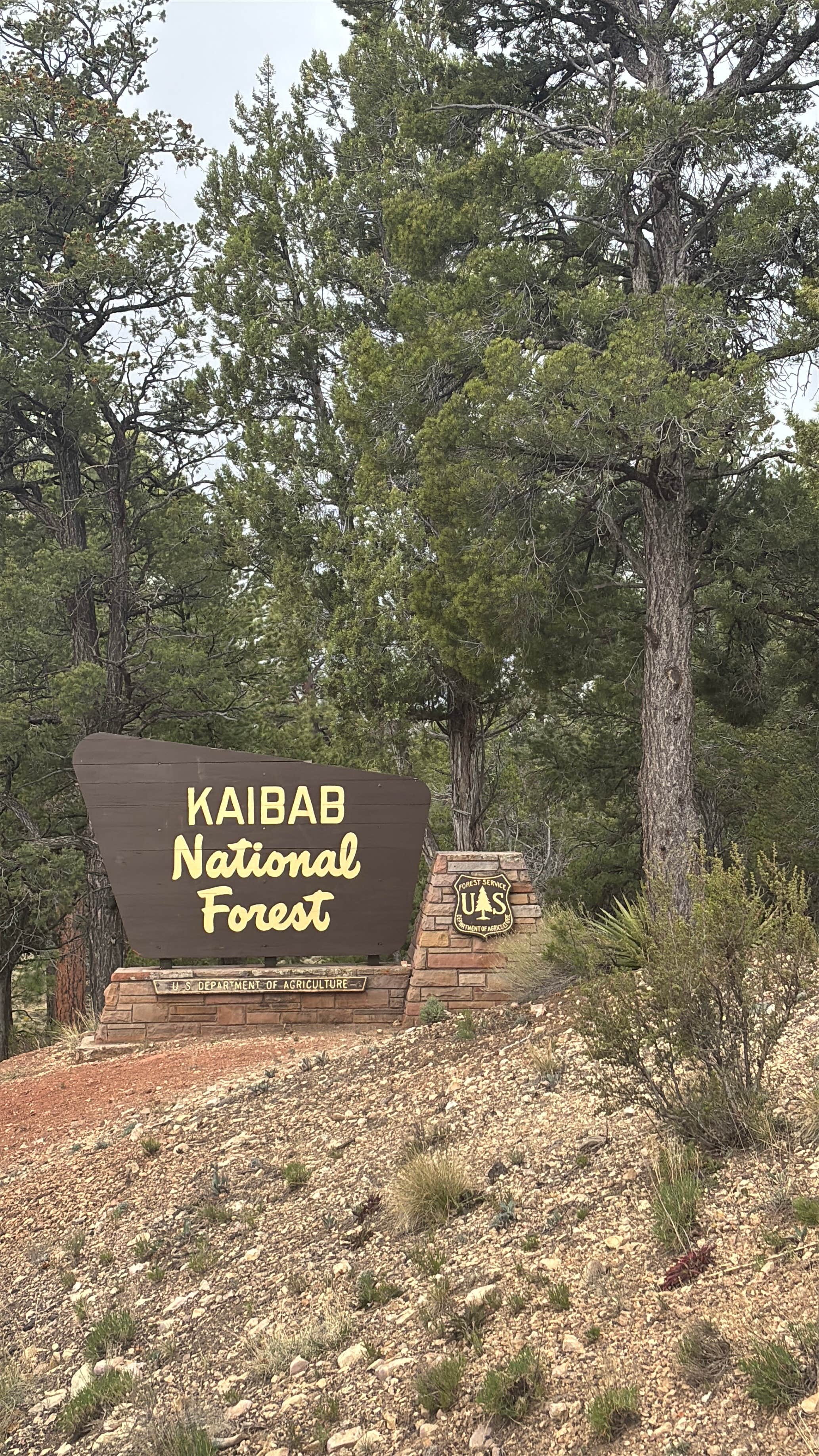 Camper-submitted photo at FS328 Dispersed Campsites near Grand Canyon National Park