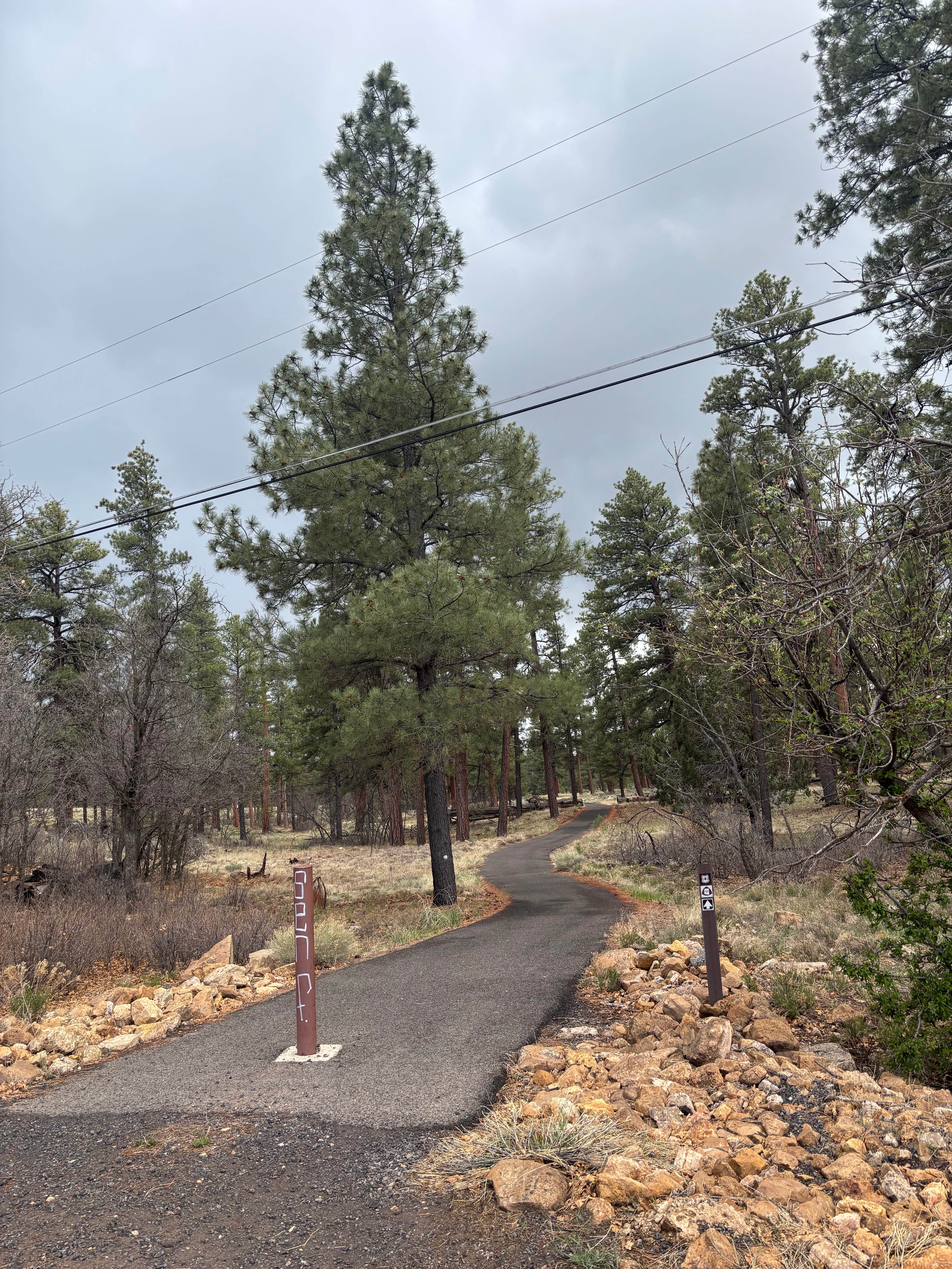 Camper-submitted photo at FS328 Dispersed Campsites near Grand Canyon National Park