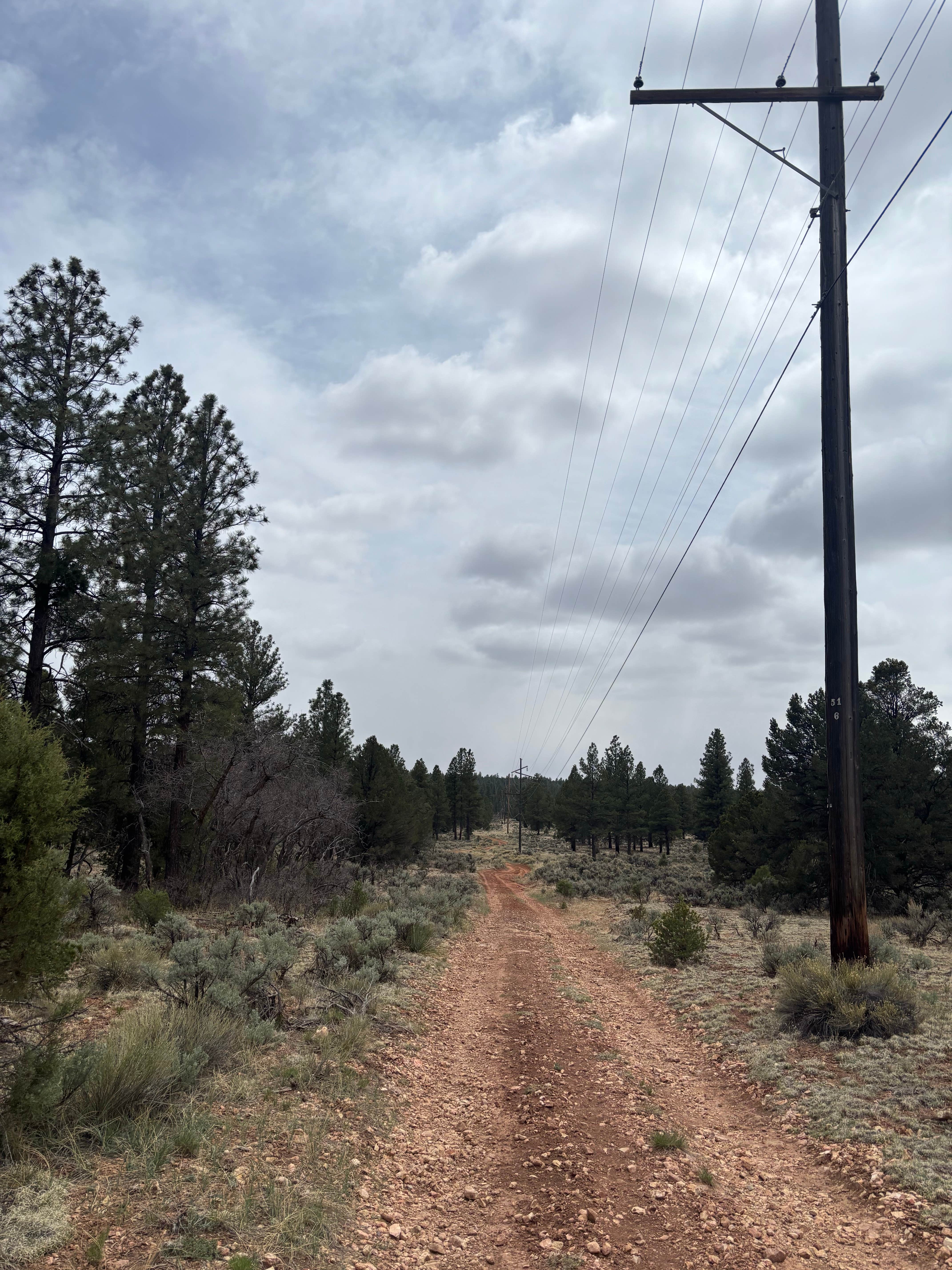 Camper-submitted photo at FS328 Dispersed Campsites near Grand Canyon National Park