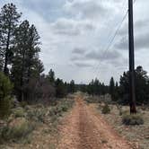 Review photo of FS328 Dispersed Campsites by brendan , May 22, 2025