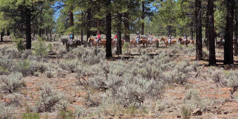 Camper submitted image from FS328 Dispersed Campsites