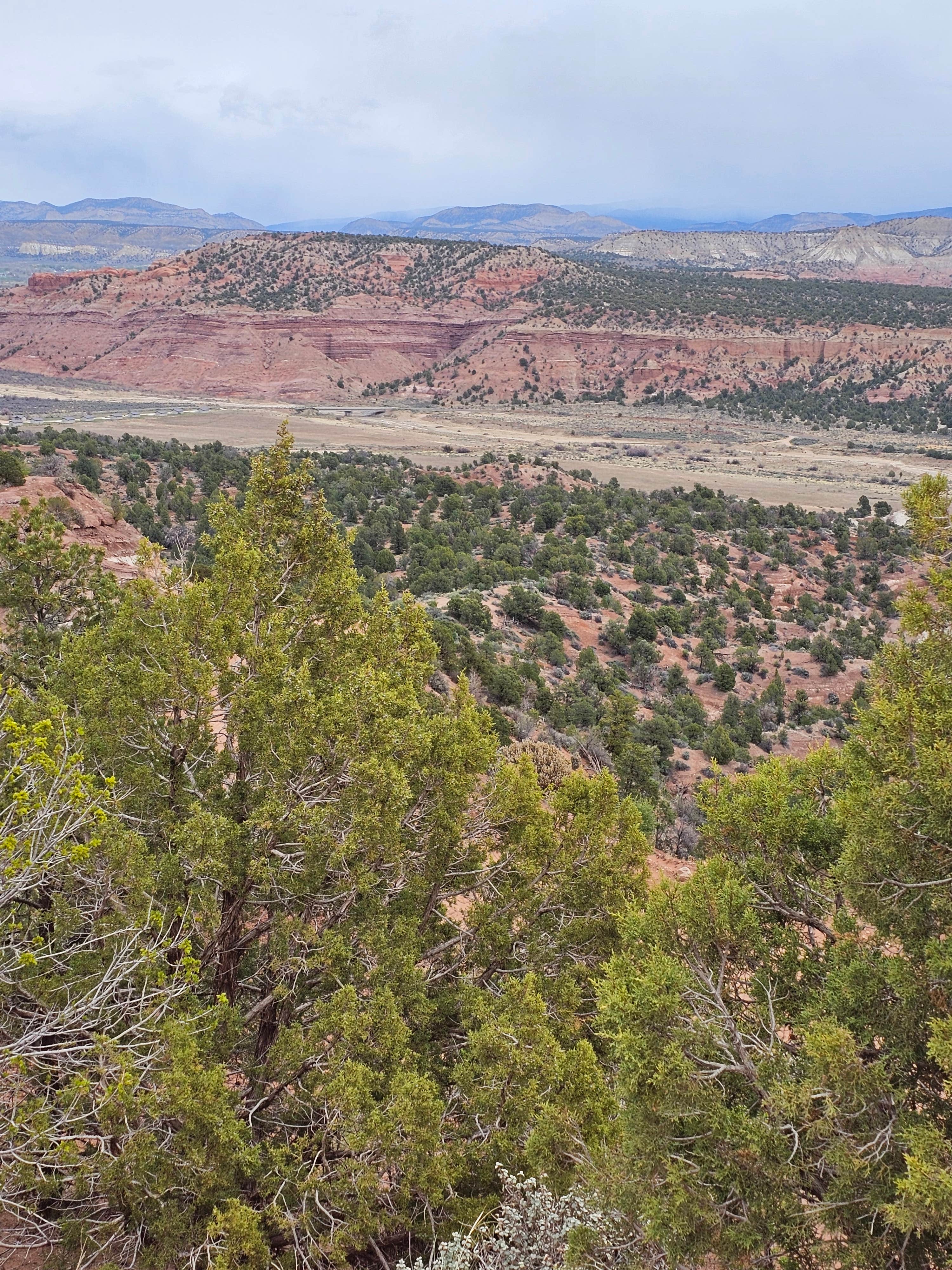 Camper-submitted photo at FS500 - Dispersed near Henrieville, UT