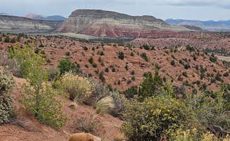 Barbara L.'s photo of camping with pets at FS500 - Dispersed near Bryce Canyon National Park