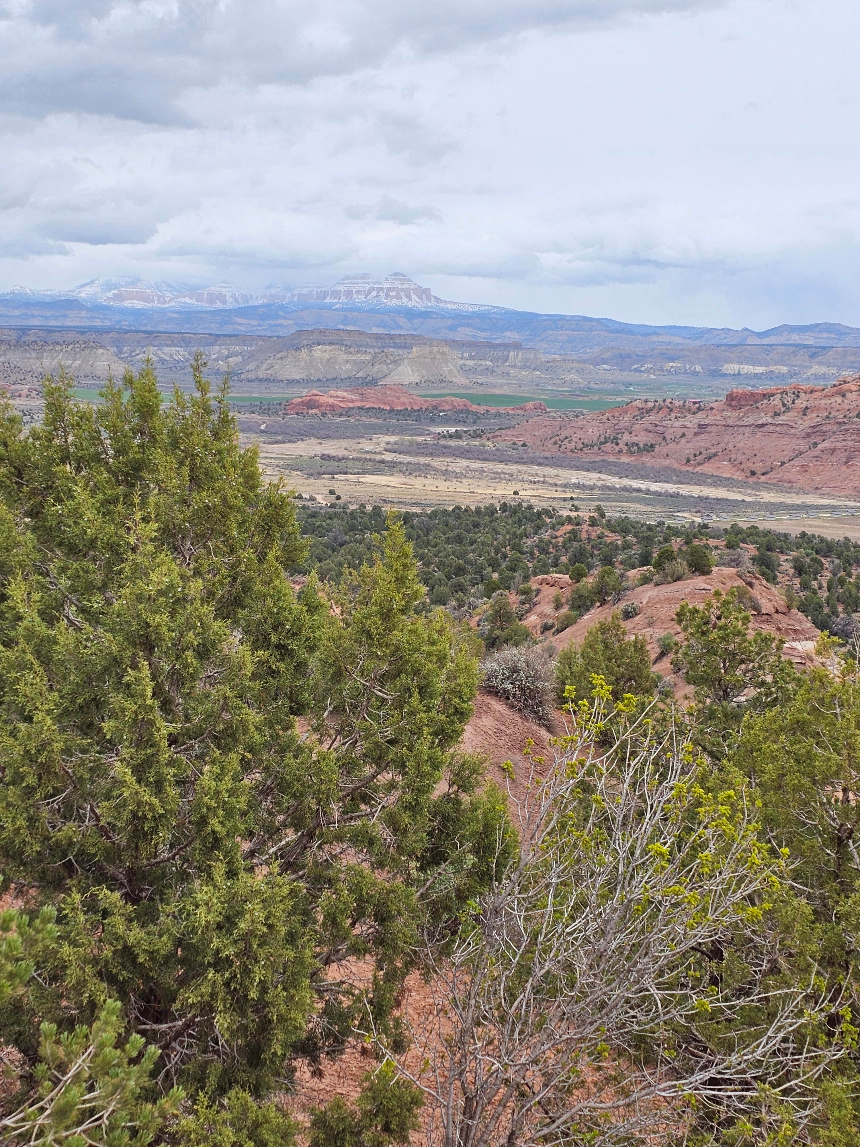 Camper-submitted photo at FS500 - Dispersed near Henrieville, UT
