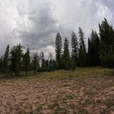 Review photo of FSR-296 - Dispersed Campsite by Jason , September 4, 2024