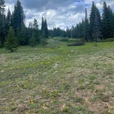 Review photo of FSR-296 - Dispersed Campsite by christian L., June 17, 2024