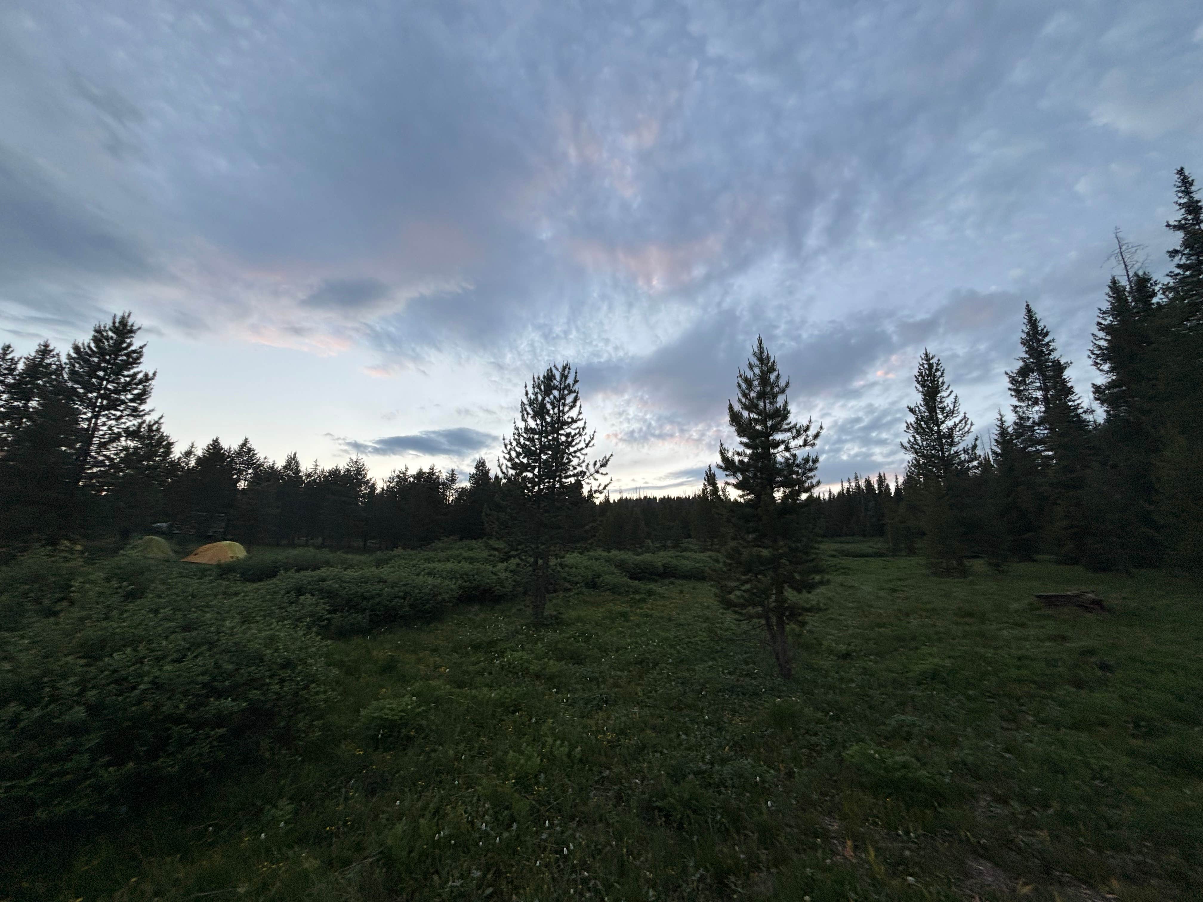 Camping near FR-302 Dispersed Camping - Rabbit Ears Pass: FSR-296 - Dispersed Campsite, Steamboat Springs, Colorado