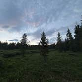Review photo of FSR-296 - Dispersed Campsite by Haydn L., June 20, 2026