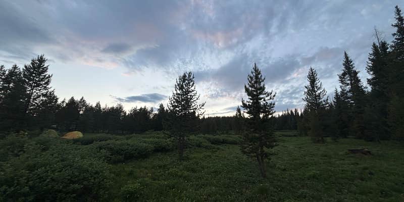 Camper submitted image from FSR-296 - Dispersed Campsite