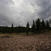 Review photo of FSR-296 - Dispersed Campsite by Jason , September 4, 2024