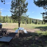 Review photo of FSR-296 - Dispersed Campsite by Jorie B., June 27, 2026