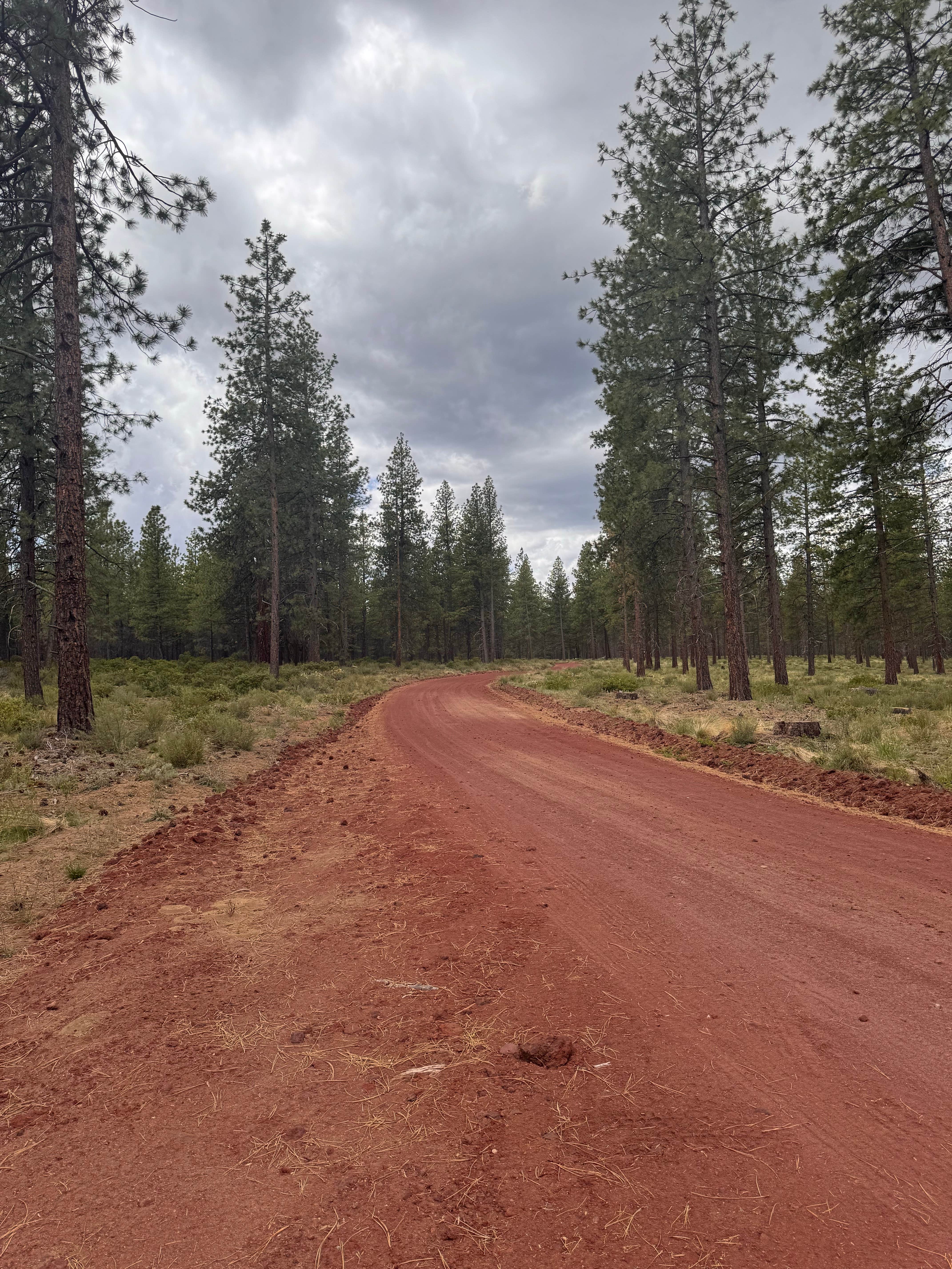 Camper-submitted photo at FSR 4610 Dispersed near Bend, OR