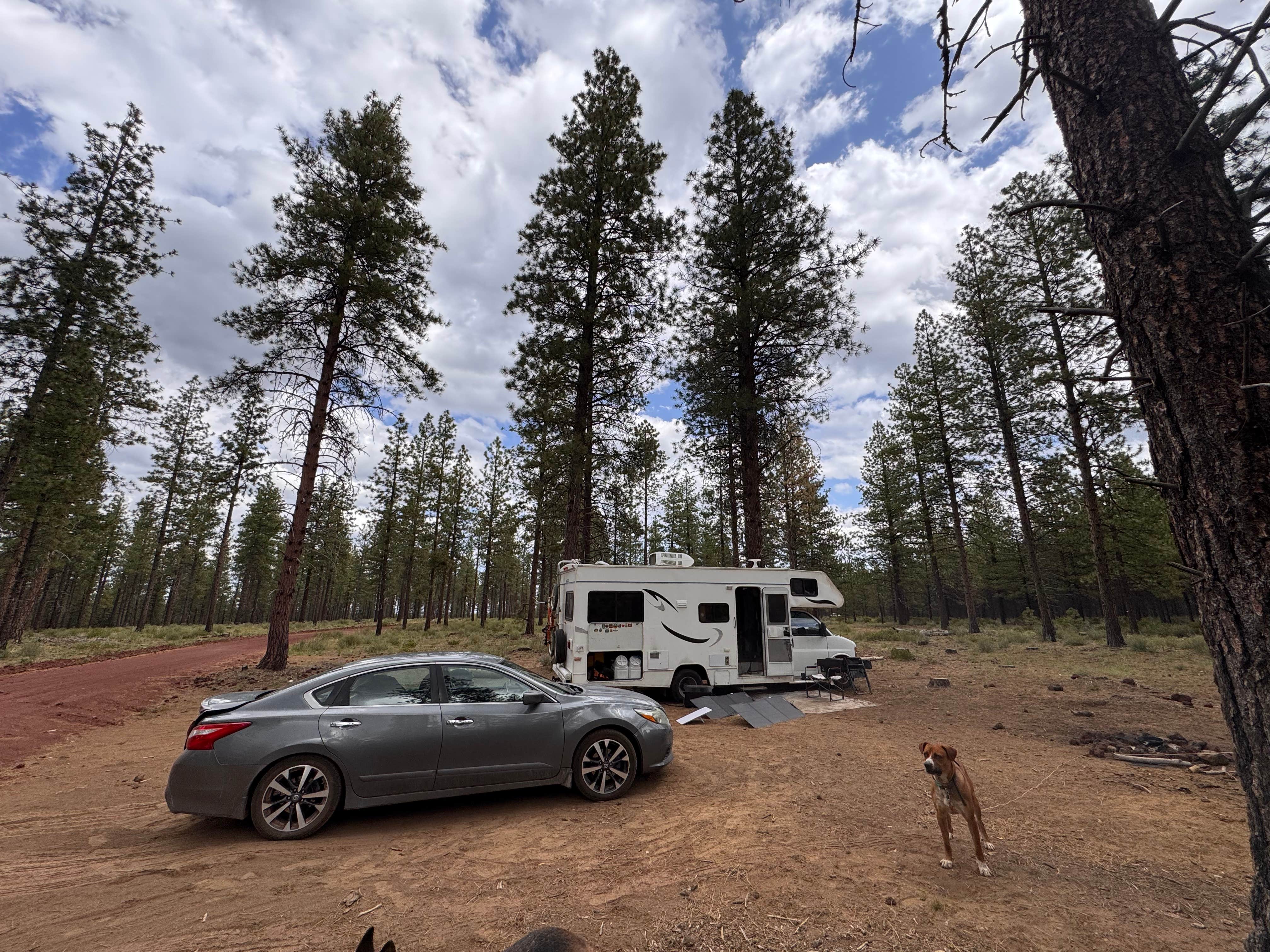Camping near BEND FS 4610 Dispersed: FSR 4610 Dispersed, Bend, Oregon