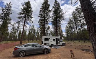 Bethany W.'s photo of camping with pets at FSR 4610 Dispersed near Deschutes & Ochoco National Forests & Crooked River National Grassland