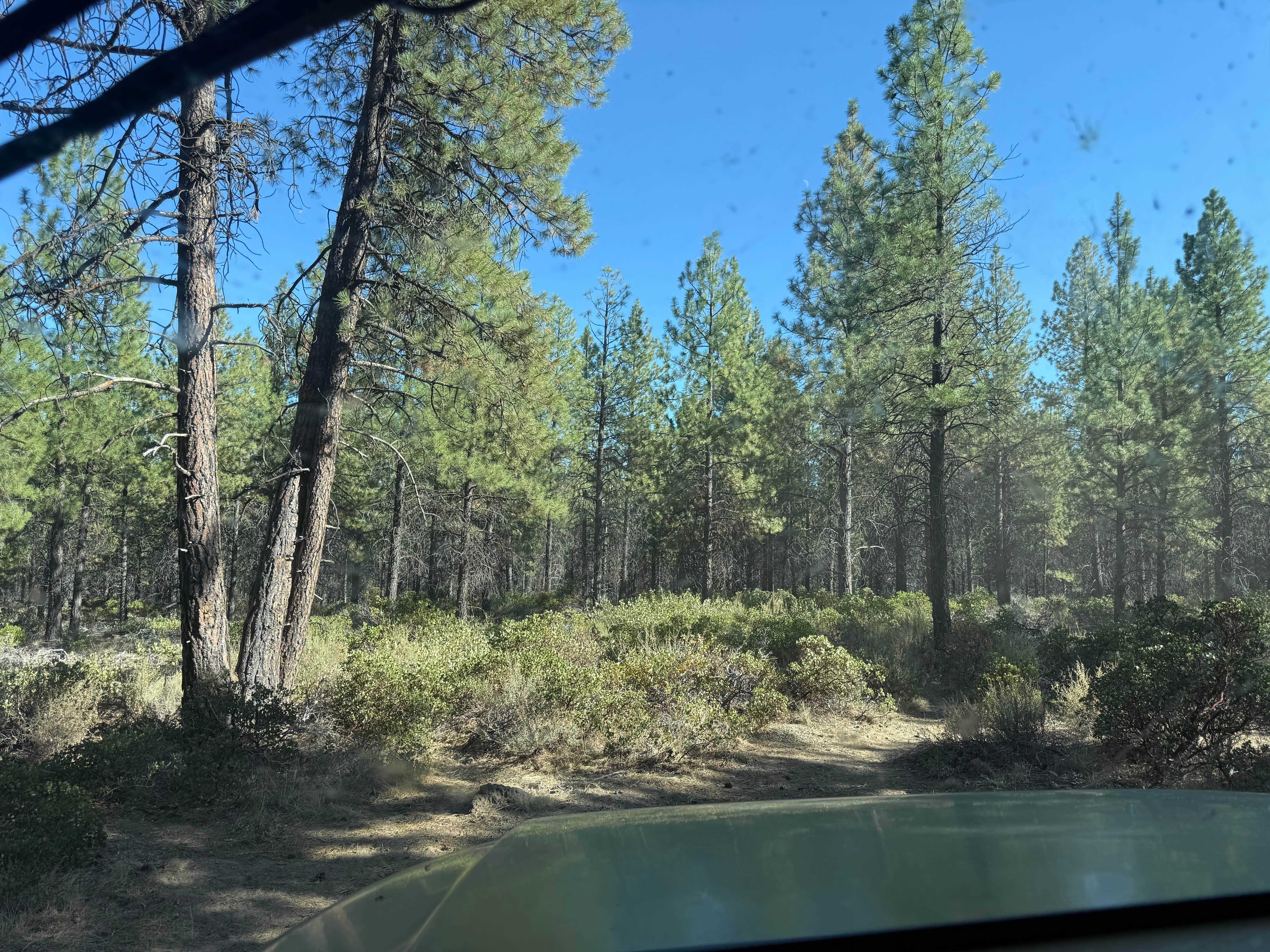Camper-submitted photo at FSR 4610 Dispersed near Deschutes & Ochoco National Forests & Crooked River National Grassland