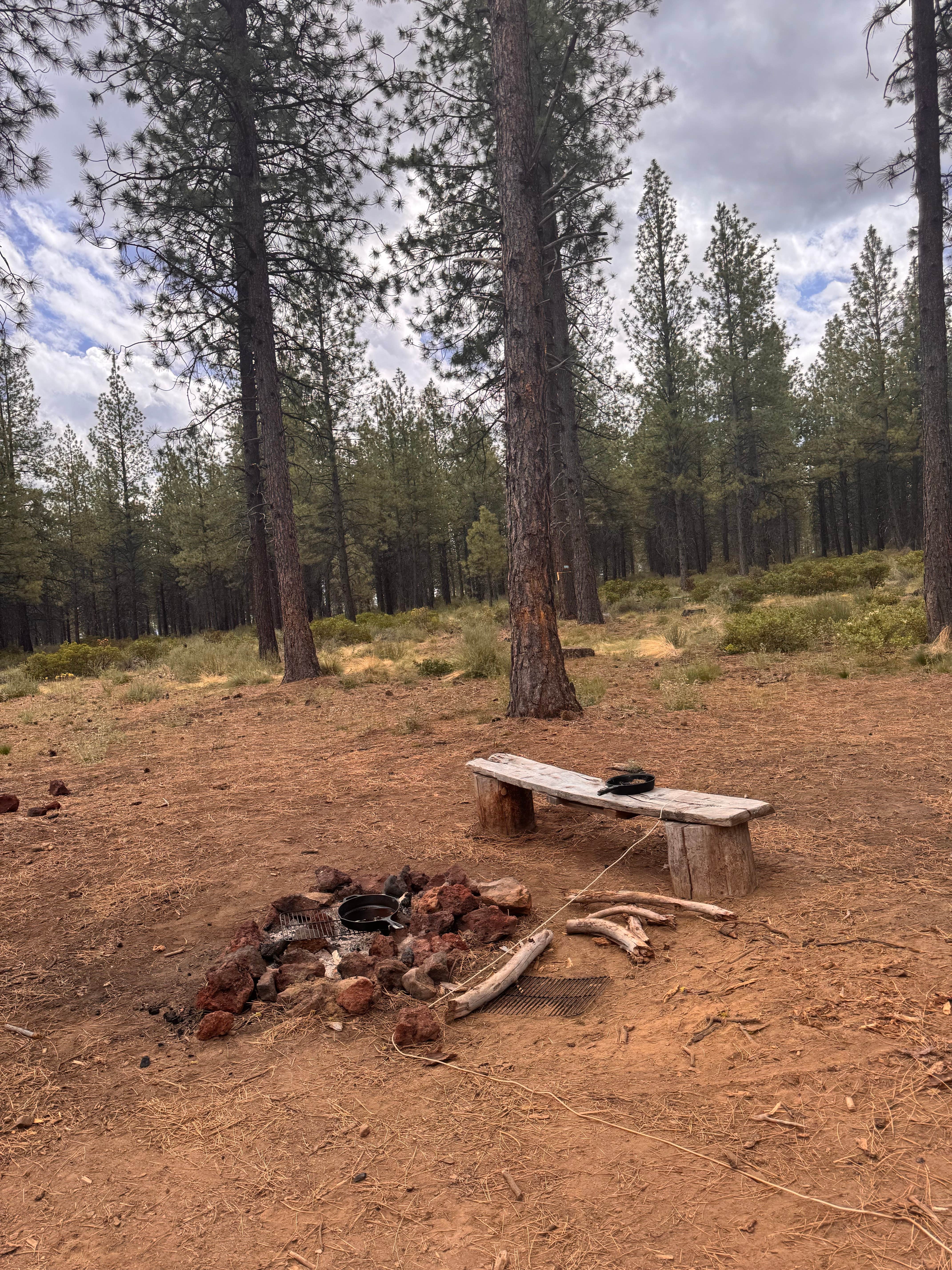 Camper-submitted photo at FSR 4610 Dispersed near Bend, OR