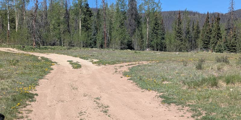 Camper submitted image from FSR #689 Dispersed