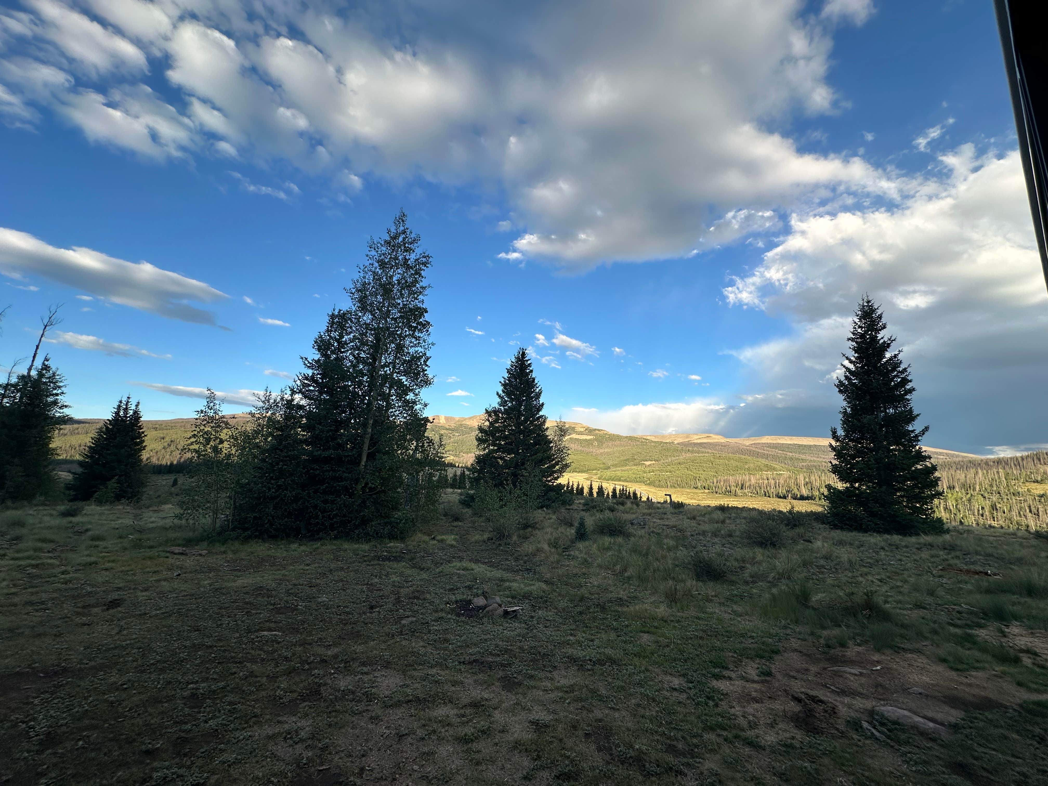 Emily T.'s photo of a dispersed camping area at FSR #689 Dispersed near Lake City, CO