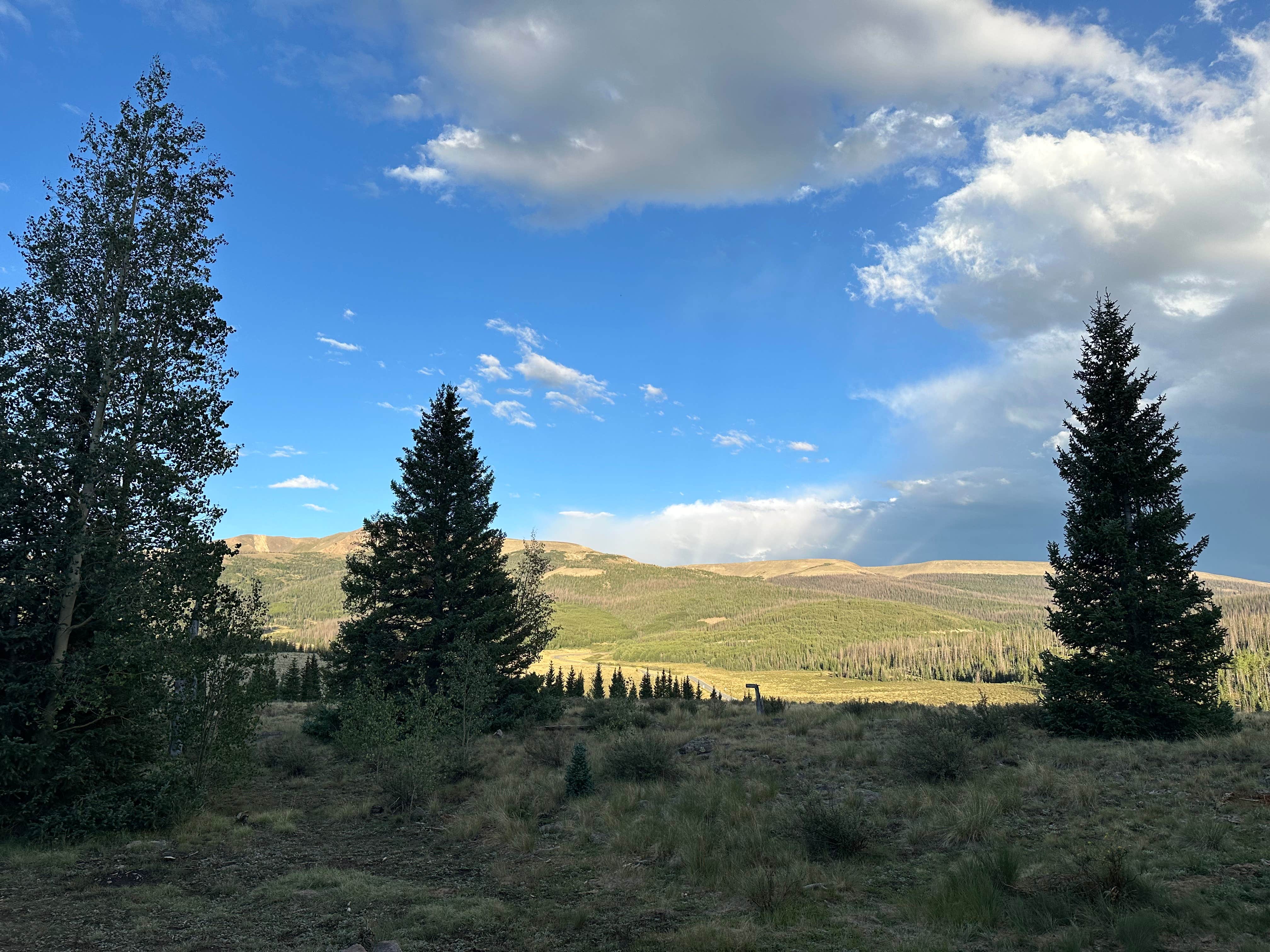 Camper-submitted photo at FSR #689 Dispersed near Lake City, CO