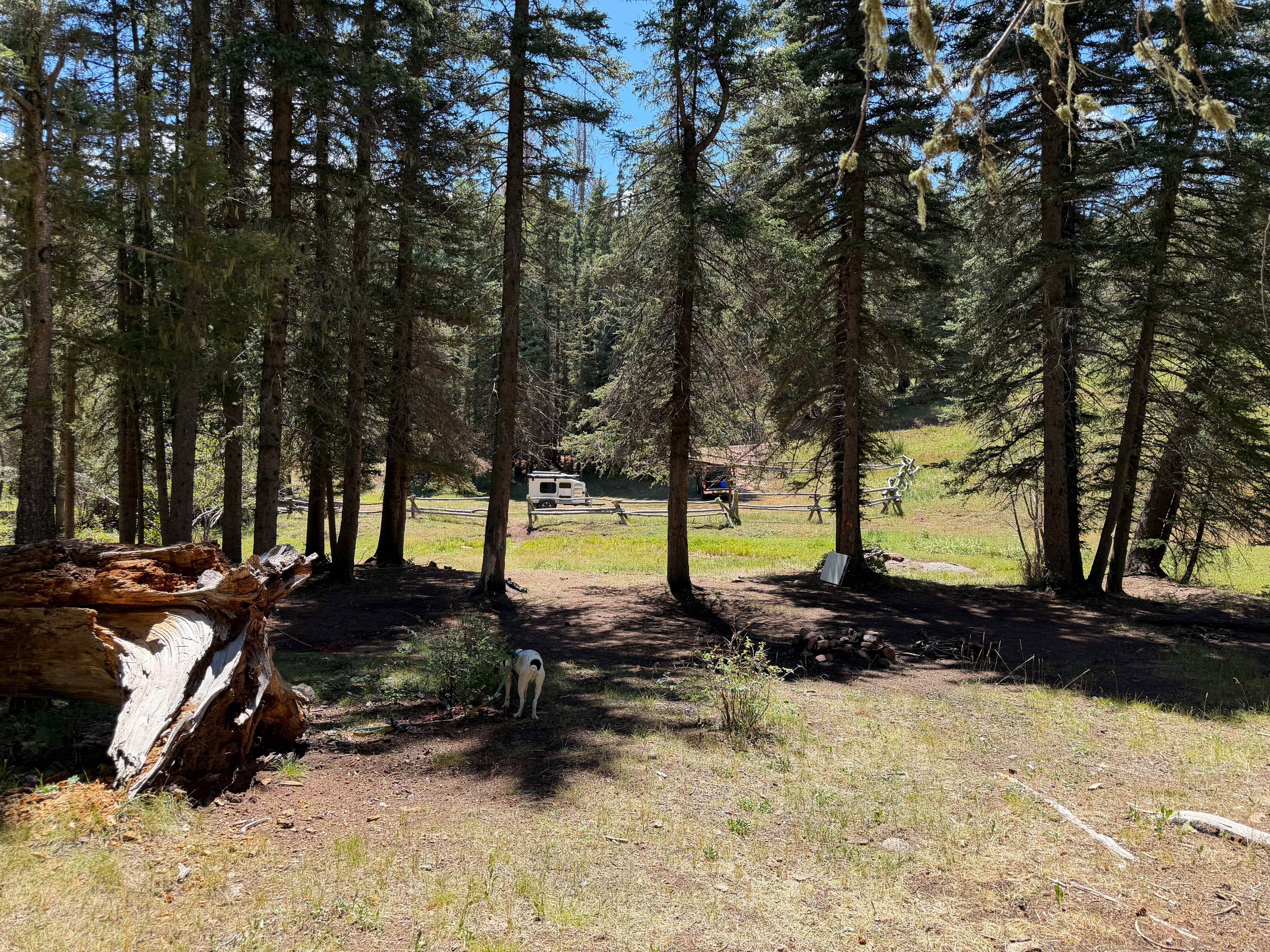 Camper-submitted photo at Fsr 70 near Canjilon, NM