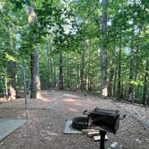 Review photo of Fort Pillow Historic State Park Campground by William R., July 2, 2024