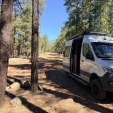 Review photo of Fort Valley Dispersed Camping by Rob S., March 21, 2026