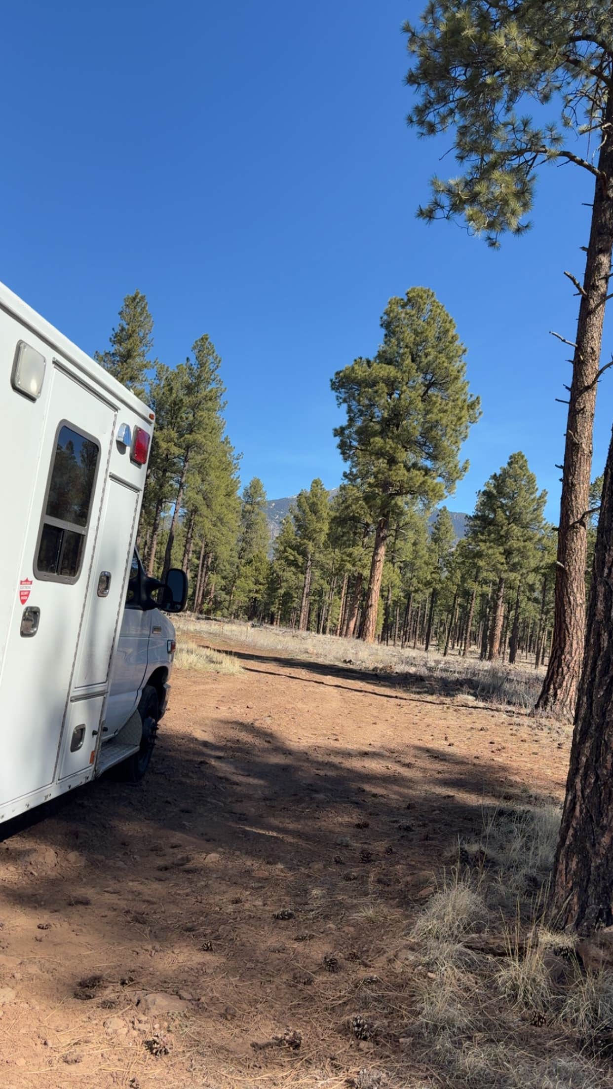 Camping near Woody Mountain Campground & RV Park: Fort Valley Dispersed Camping, Flagstaff, Arizona