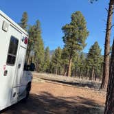 Review photo of Fort Valley Dispersed Camping by Emelia C., March 17, 2026