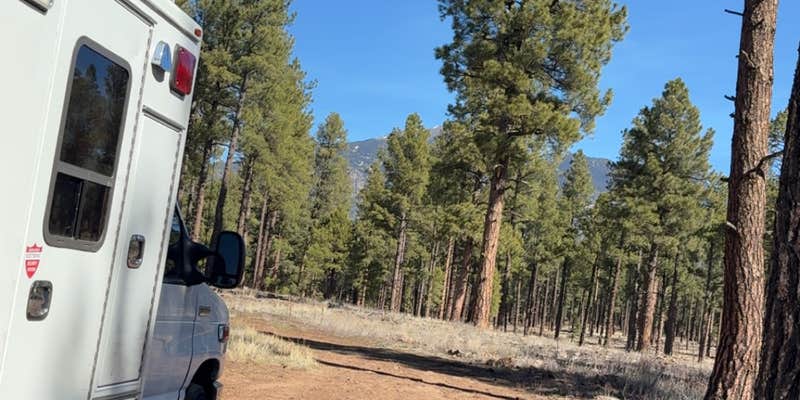 Camper submitted image from Fort Valley Dispersed Camping