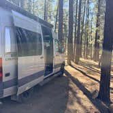 Review photo of Fort Valley Dispersed Camping by Rob S., March 21, 2026