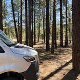 Review photo of Fort Valley Dispersed Camping by Rob S., March 21, 2026