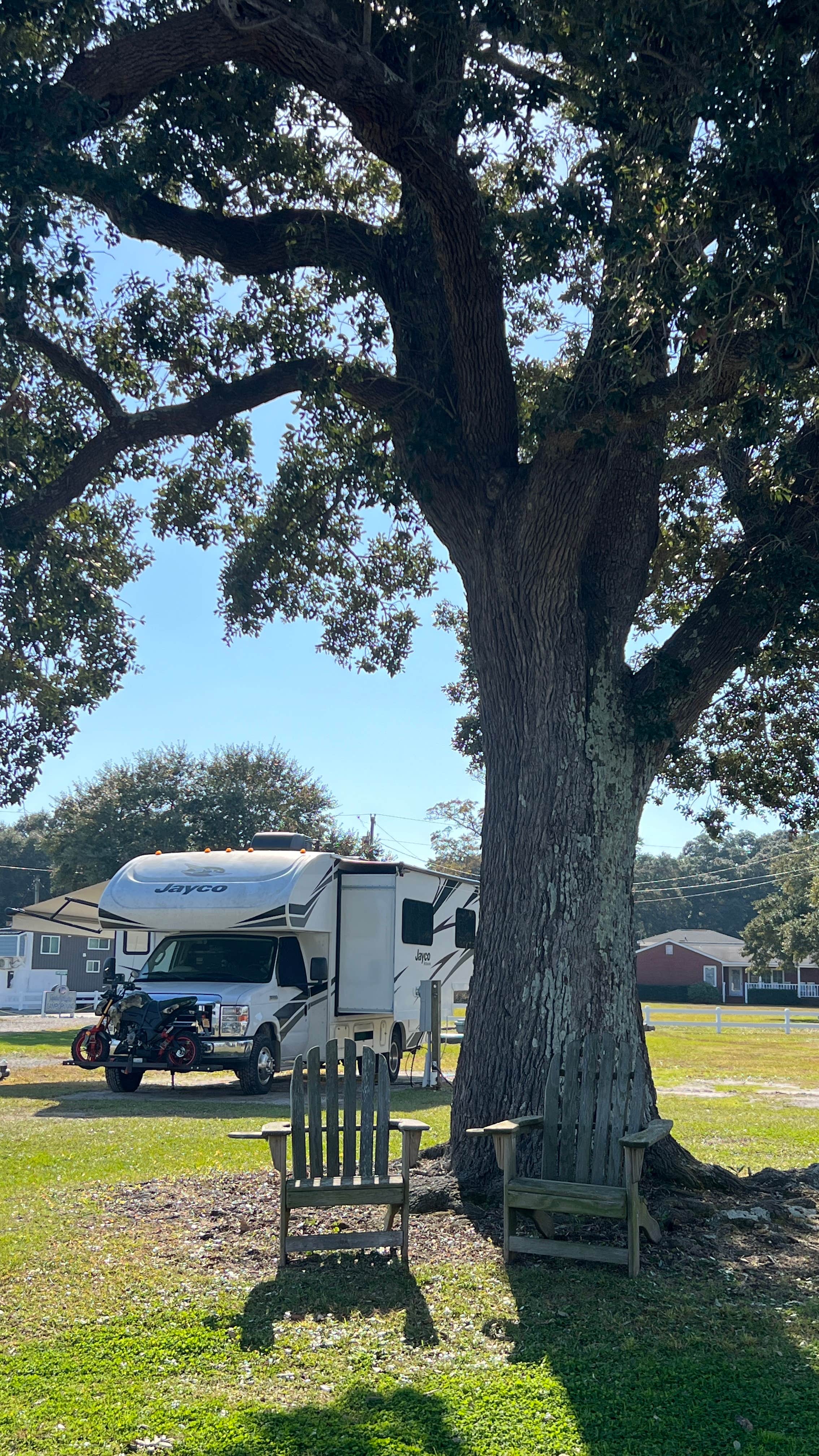 Camper submitted image from Fulchers Landing Campground - 4