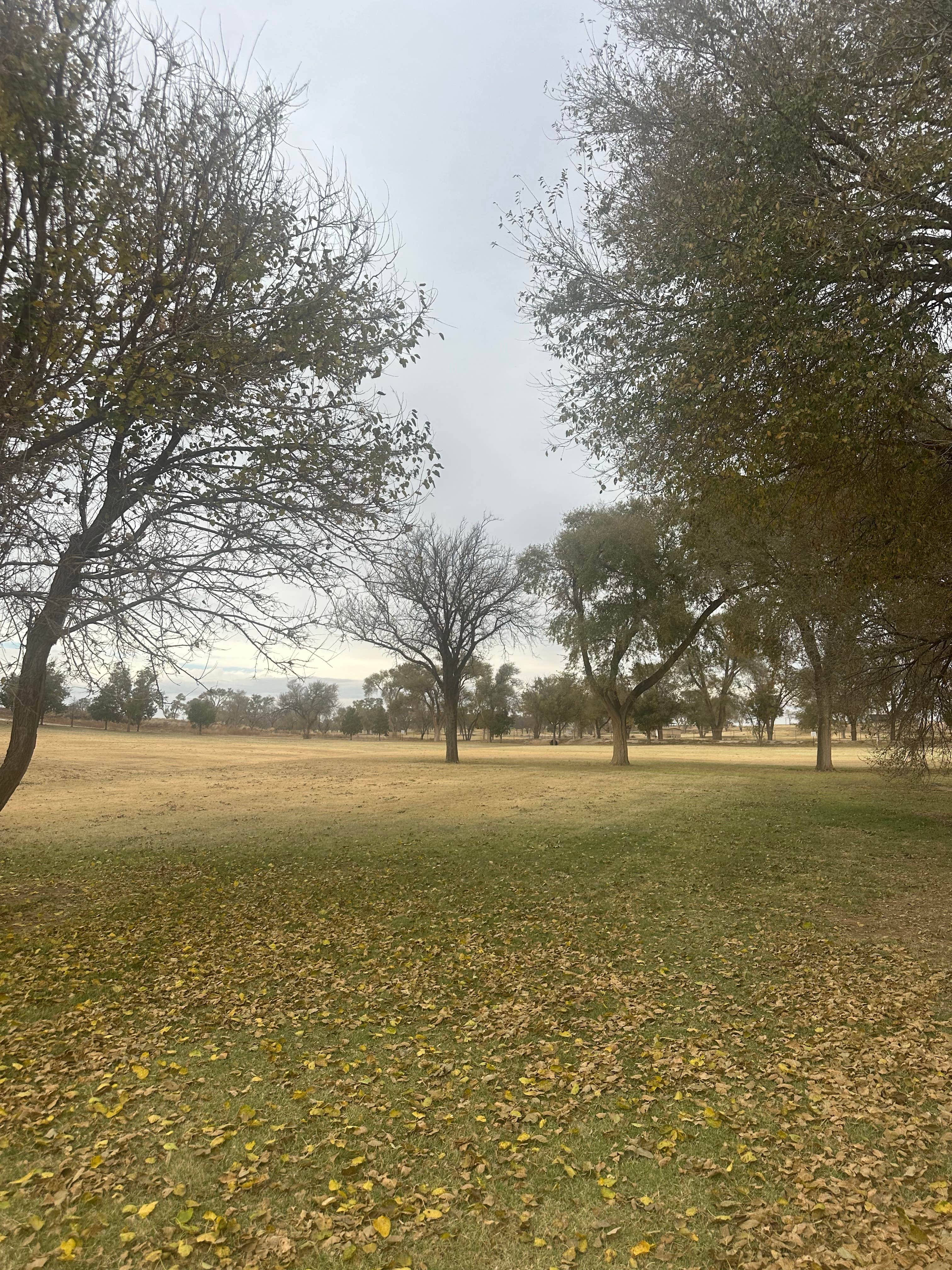 Camper submitted image from Gaines County Park - 1