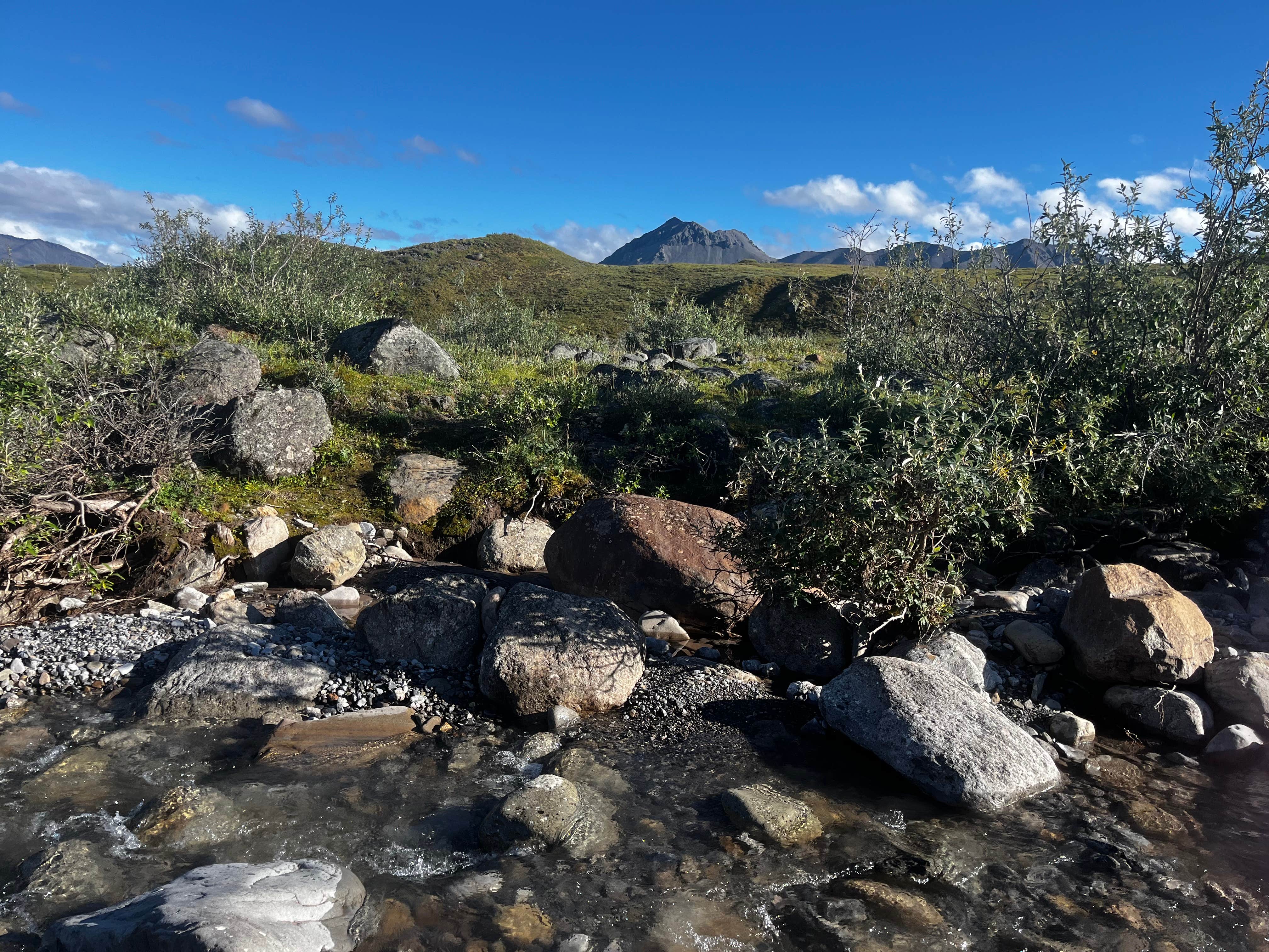 Camper submitted image from Galbraith Lake Campground — Dalton Highway - 5
