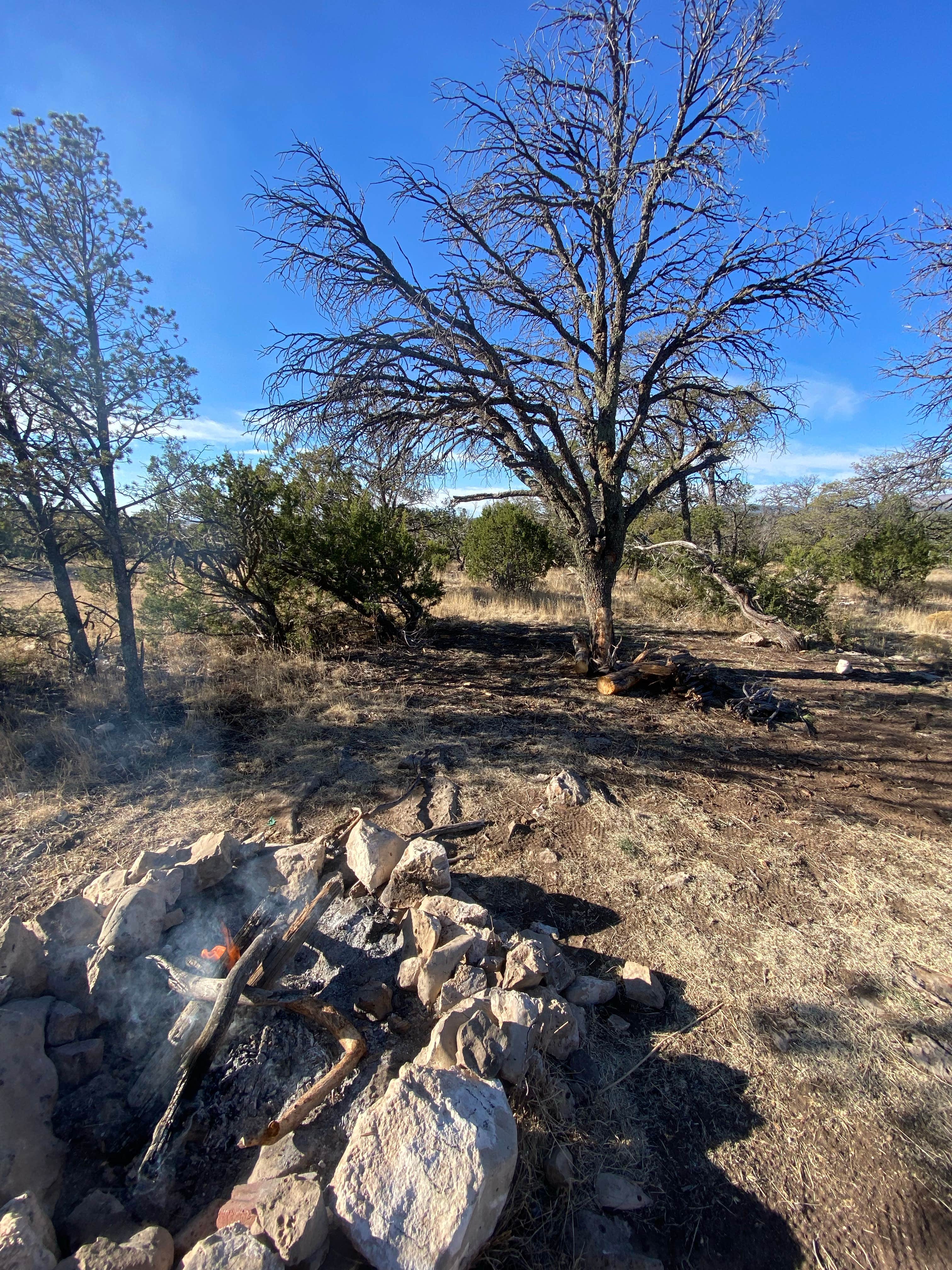 Camper-submitted photo at Gallinas Site near Coyote, NM