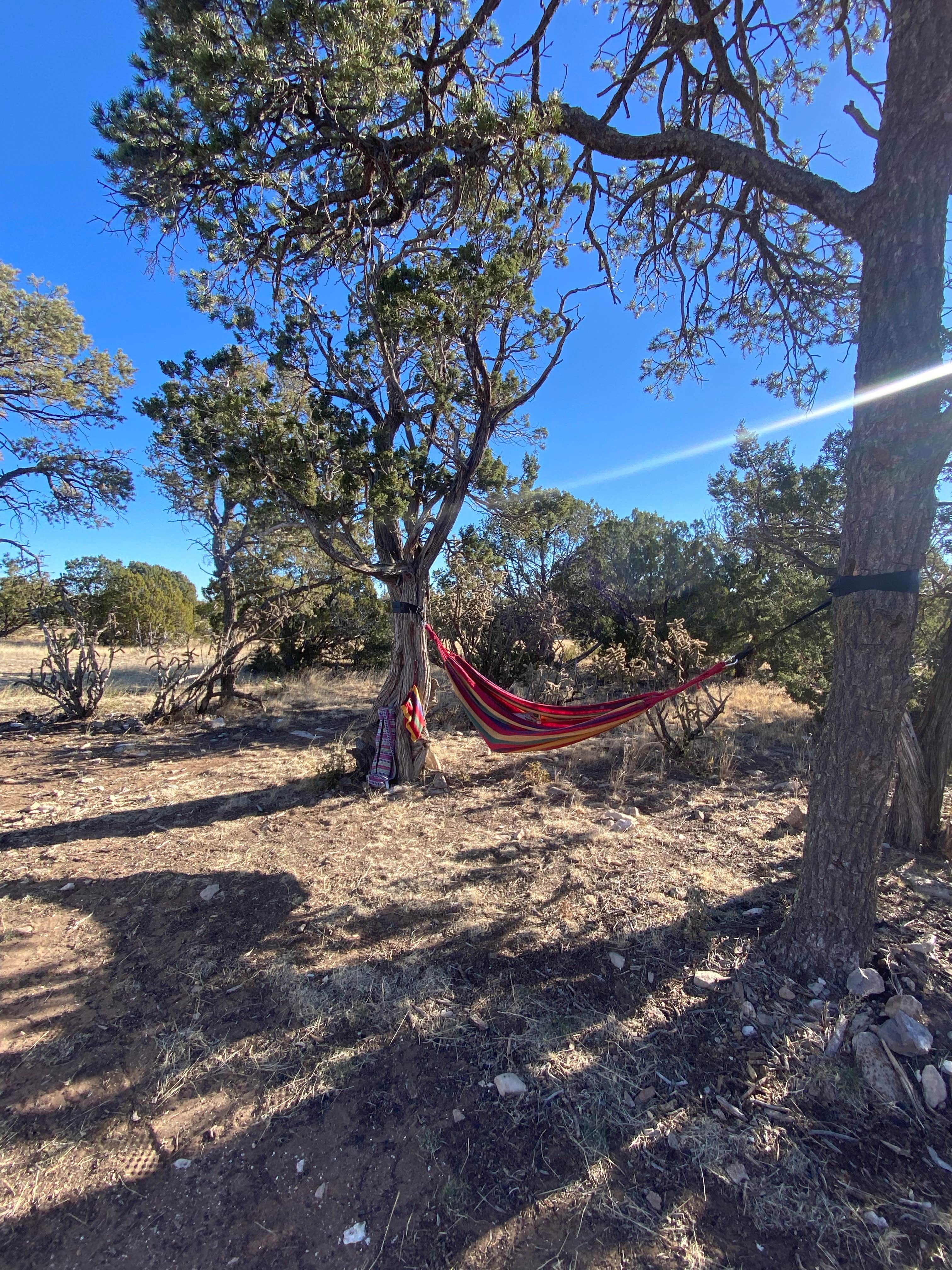 Camper-submitted photo at Gallinas Site near Coyote, NM