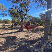 Review photo of Gallinas Site by Elizabeth T., March 4, 2026