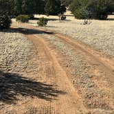 Review photo of Gallinas Site by Donald B., March 10, 2026