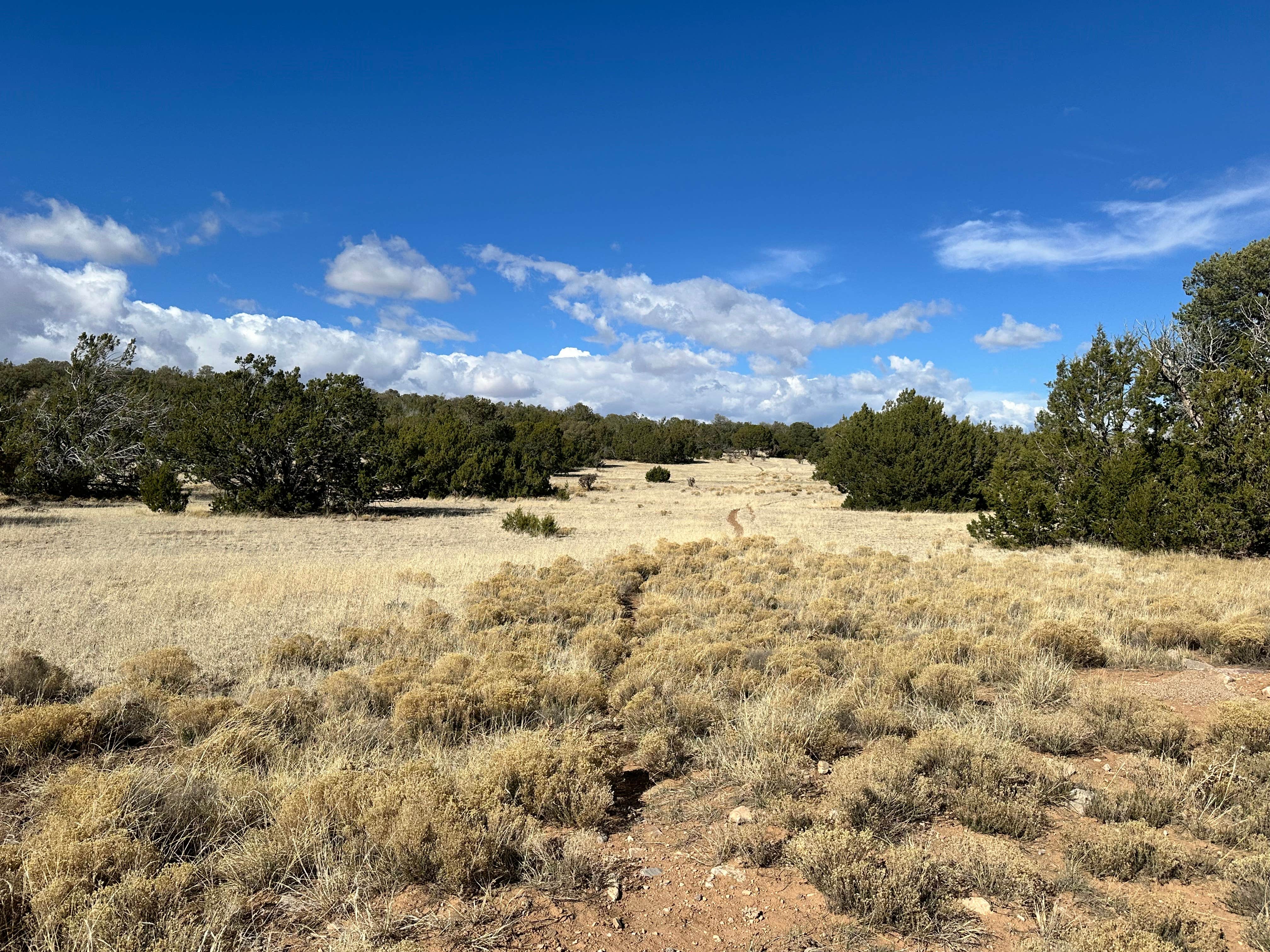 Camper-submitted photo at Gallinas Site near Mountainair, NM