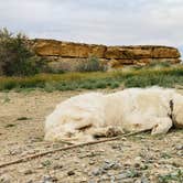 Review photo of Gallo Campground — Chaco Culture National Historical Park by Teresa F., May 2, 2024