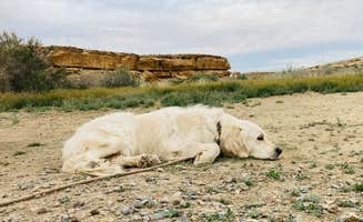 Teresa F.'s photo of camping with pets at Gallo Campground — Chaco Culture National Historical Park near Nageezi, NM