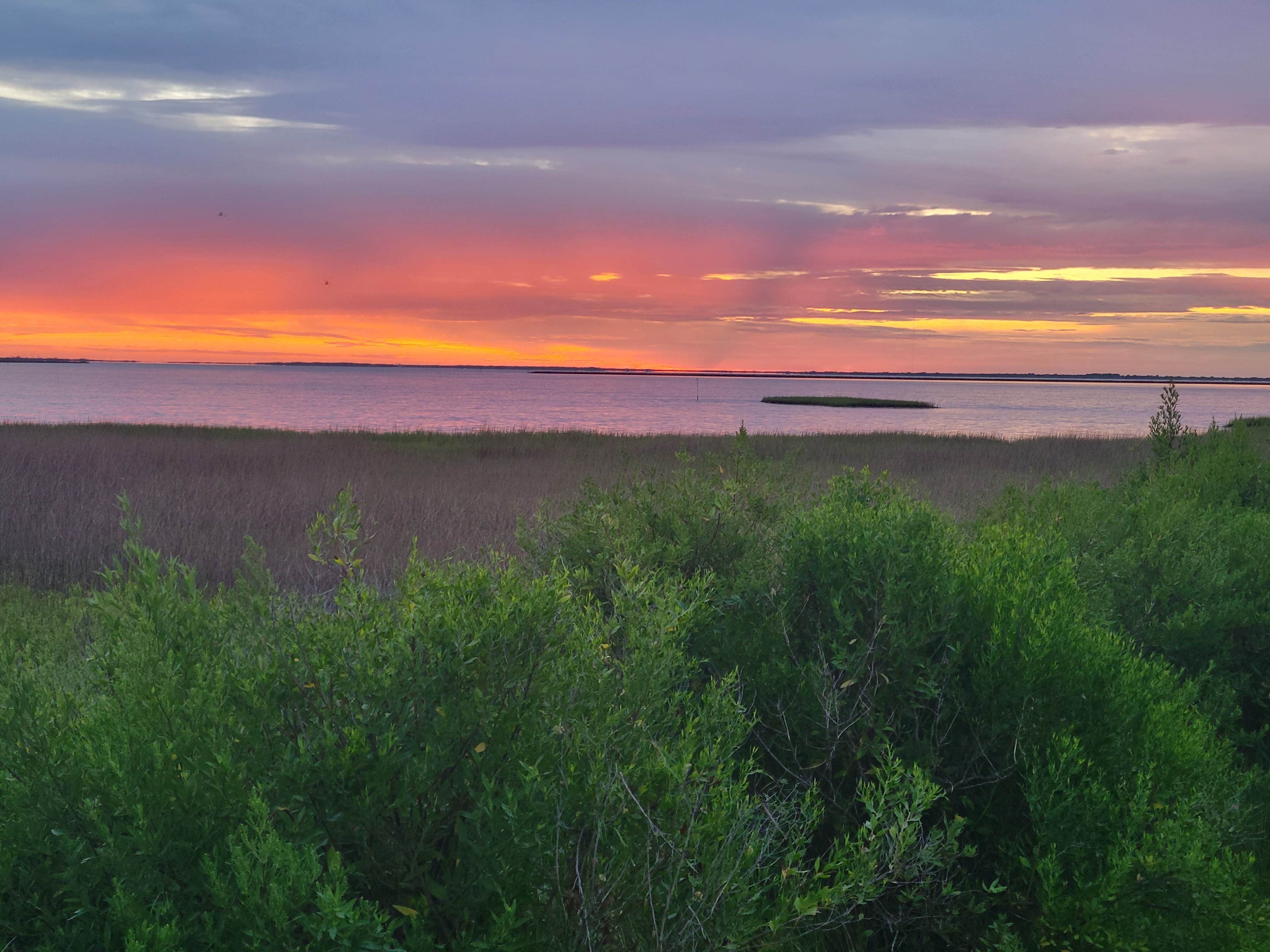 Camper-submitted photo at Galveston, state park, TX near Bellaire, TX